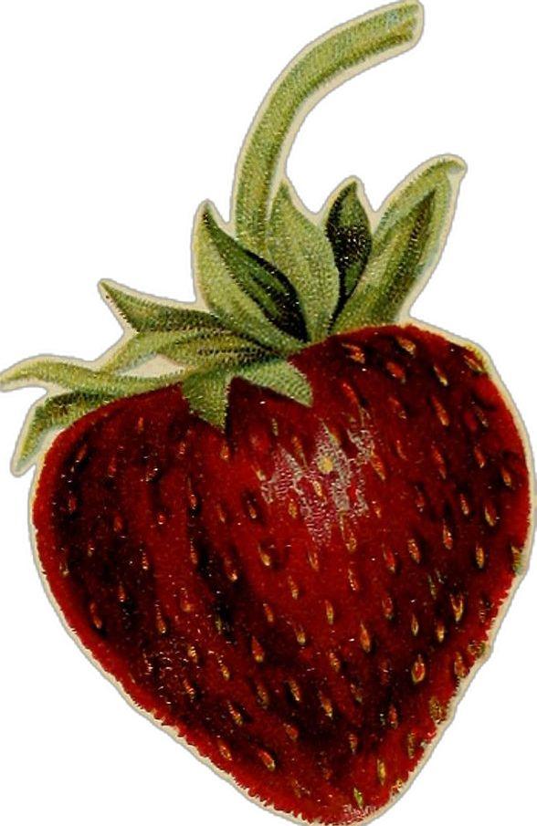 Orchard Whispers: Sun-Kissed Berry Medley