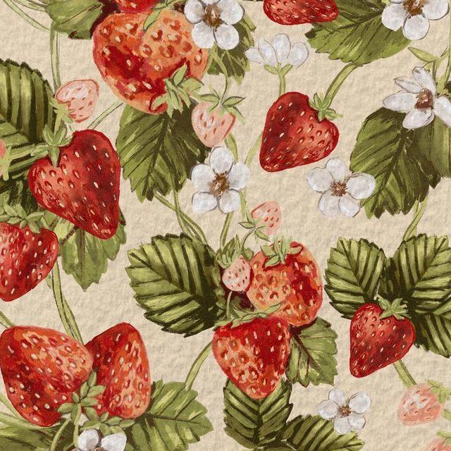 Berry Bounty: Fresh Farm Picked Delights