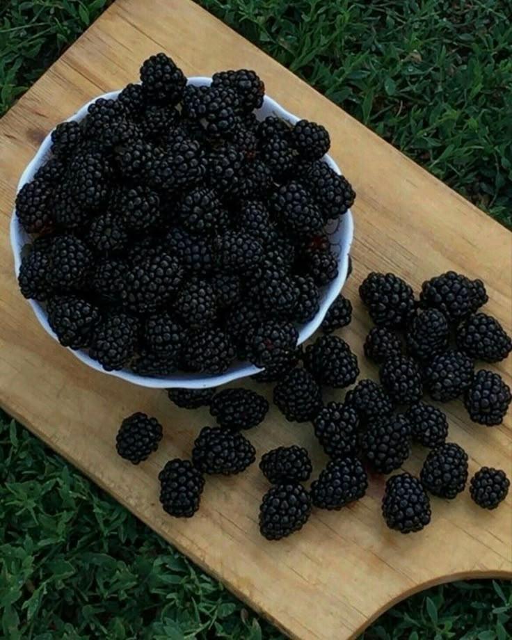 Rustic Berry Trove: Pure Earthy Essence